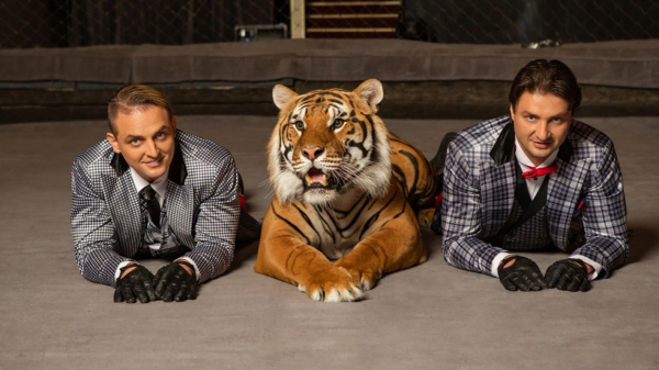 Елена Вяльбе Елена Вяльбе