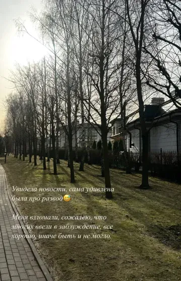 "Сама удивлена была". Сообщившая о разводе Алекса заявила, что её соцсети взломали