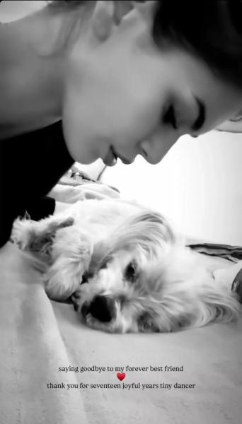 Синди Кроуфорд и Кайя Гербер оплакивают потерю домашенго питомца
Синди Кроуфорд и Кайя Гербер оплакивают потерю домашенго питомца