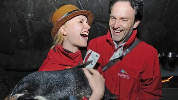 Анна Пэкуин Анна Пэкуин