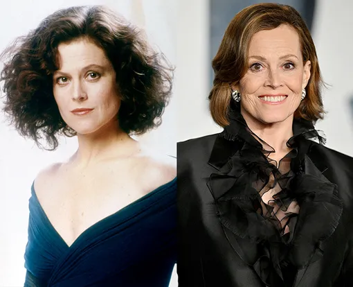 10+ известных женщин старше 50 лет, которые никогда не делали пластических операций 10+ известных женщин старше 50 лет, которые никогда не делали пластических операций