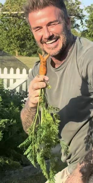 "Это так разочаровывает": за что садоводу Дэвиду Бекхэму пришлось извиняться перед женой
"Это так разочаровывает": за что садоводу Дэвиду Бекхэму пришлось извиняться перед женой