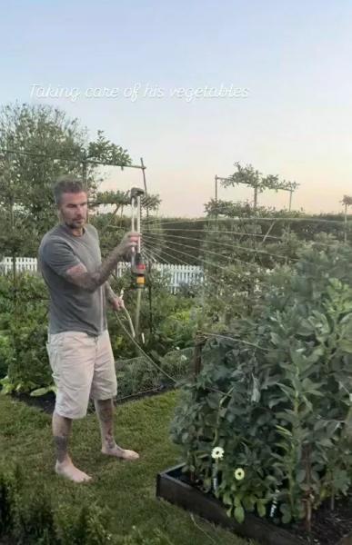 "Это так разочаровывает": за что садоводу Дэвиду Бекхэму пришлось извиняться перед женой
"Это так разочаровывает": за что садоводу Дэвиду Бекхэму пришлось извиняться перед женой