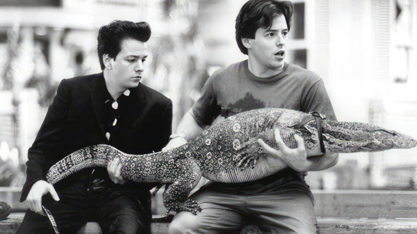 Мэттью Бродерик Мэттью Бродерик