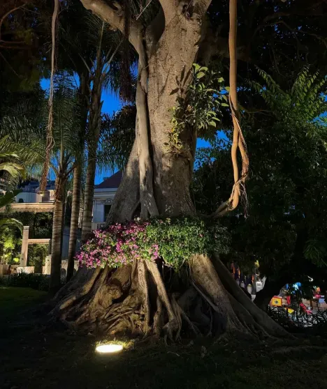 Линдси Лохан показала новые семейные фото на фоне слухов о пластике Линдси Лохан показала новые семейные фото на фоне слухов о пластике