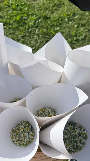 Подруга Надежды Стрелец и соосновательница 2Mood Кристина Хоронжук вышла замуж Подруга Надежды Стрелец и соосновательница 2Mood Кристина Хоронжук вышла замуж