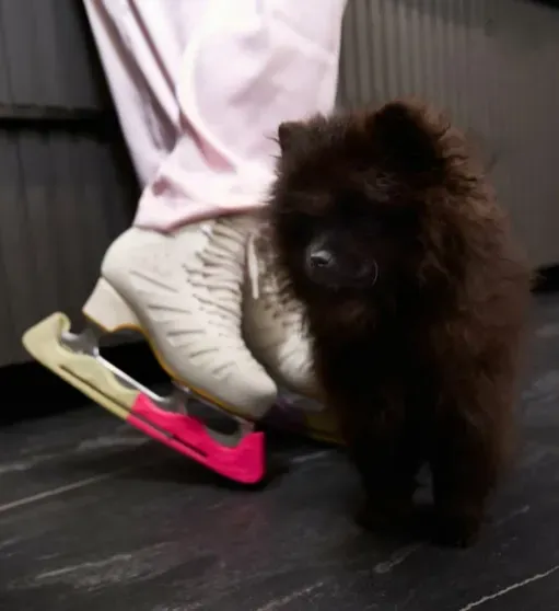 Беременная Александра Трусова снялась в коньках и с обнажённым животом Беременная Александра Трусова снялась в коньках и с обнажённым животом