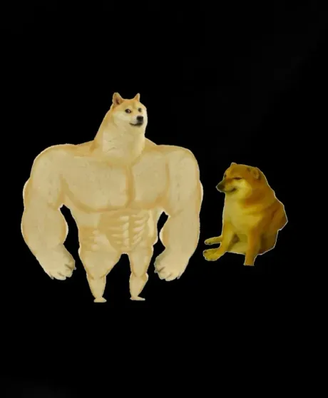 "Идеальная пара". Юлия Вавилова опубликовала новое фото с Павлом Дуровым "Идеальная пара". Юлия Вавилова опубликовала новое фото с Павлом Дуровым