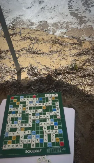 "Самое счастливое время в жизни". Земфира* и Рената Литвинова показали, как отдыхают на Корсике