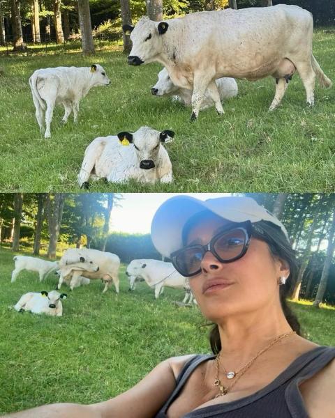 Сальма Хайек показала фото из отпуска без фильтров
Сальма Хайек показала фото из отпуска без фильтров