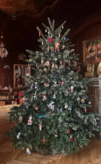 Юлия Высоцкая, Ксения Бородина, Анастасия Решетова, Милош Бикович, Ида Галич: как звёзды украсили дома к Новому году