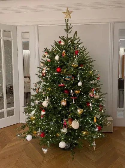 Юлия Высоцкая, Ксения Бородина, Анастасия Решетова, Милош Бикович, Ида Галич: как звёзды украсили дома к Новому году