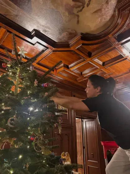 Юлия Высоцкая, Ксения Бородина, Анастасия Решетова, Милош Бикович, Ида Галич: как звёзды украсили дома к Новому году