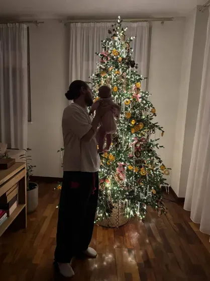 Юлия Высоцкая, Ксения Бородина, Анастасия Решетова, Милош Бикович, Ида Галич: как звёзды украсили дома к Новому году