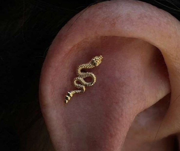 Варианты украшений со змеей &mdash; 4 топовых идей