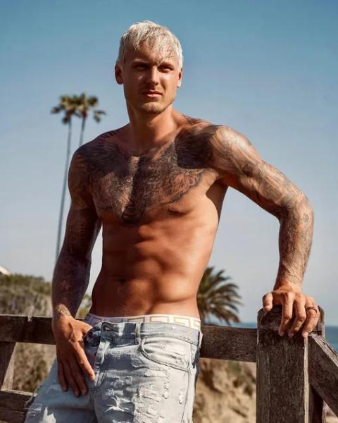 Мрачное пророчество? Что скандальная Лена Миро писала про отношения Анны Седоковой и Яниса Тиммы