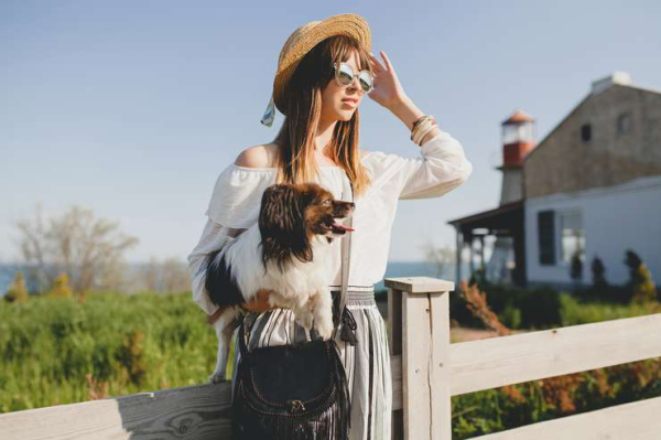 В отпуск вместе с усатым: как подготовить домашнего питомца к поездке