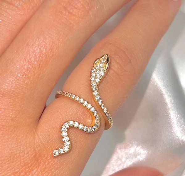 Варианты украшений со змеей &mdash; 4 топовых идей