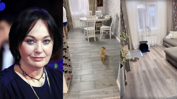 Илзе Лиепа Илзе Лиепа