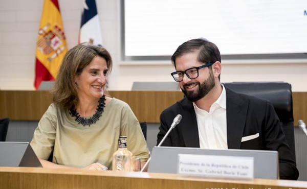 Габриэль Борич