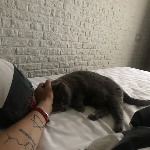 Встречался с Жуковой и Кориковой, но остался холостяком: почему не сложилась личная жизнь Марата Сафина Встречался с Жуковой и Кориковой, но остался холостяком: почему не сложилась личная жизнь Марата Сафина