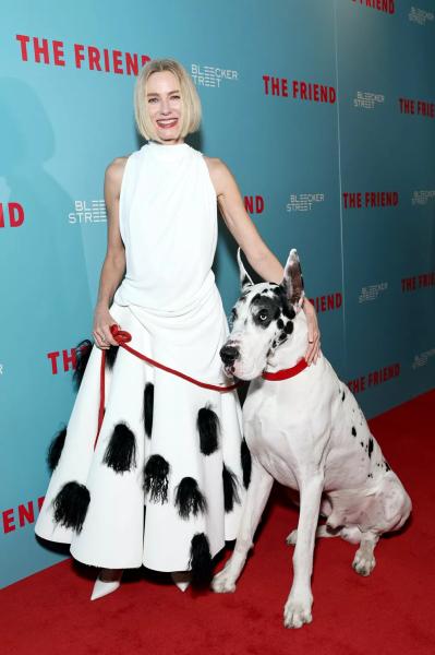 Образ дня: Наоми Уоттс косплеит Круэллу де Виль
Образ дня: Наоми Уоттс косплеит Круэллу де Виль