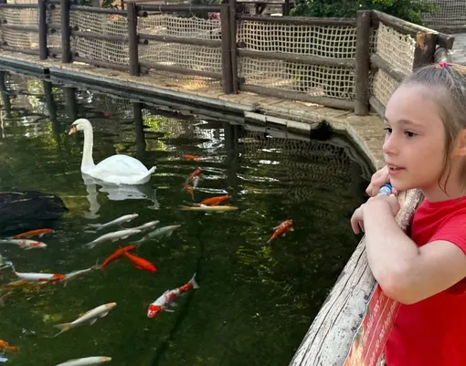 Елена Товстик после скандального развода с любовником Полины Дибровой прилетела с детьми на курорт Елена Товстик после скандального развода с любовником Полины Дибровой прилетела с детьми на курорт