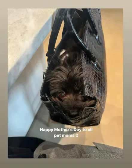 Ирина Шейк показала новые фото дочери по случаю Дня матери Ирина Шейк показала новые фото дочери по случаю Дня матери