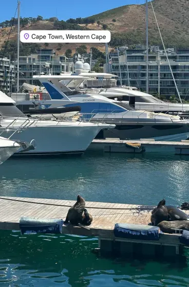 Оксана Робски показала редкие фото с отдыха в Африке Оксана Робски показала редкие фото с отдыха в Африке